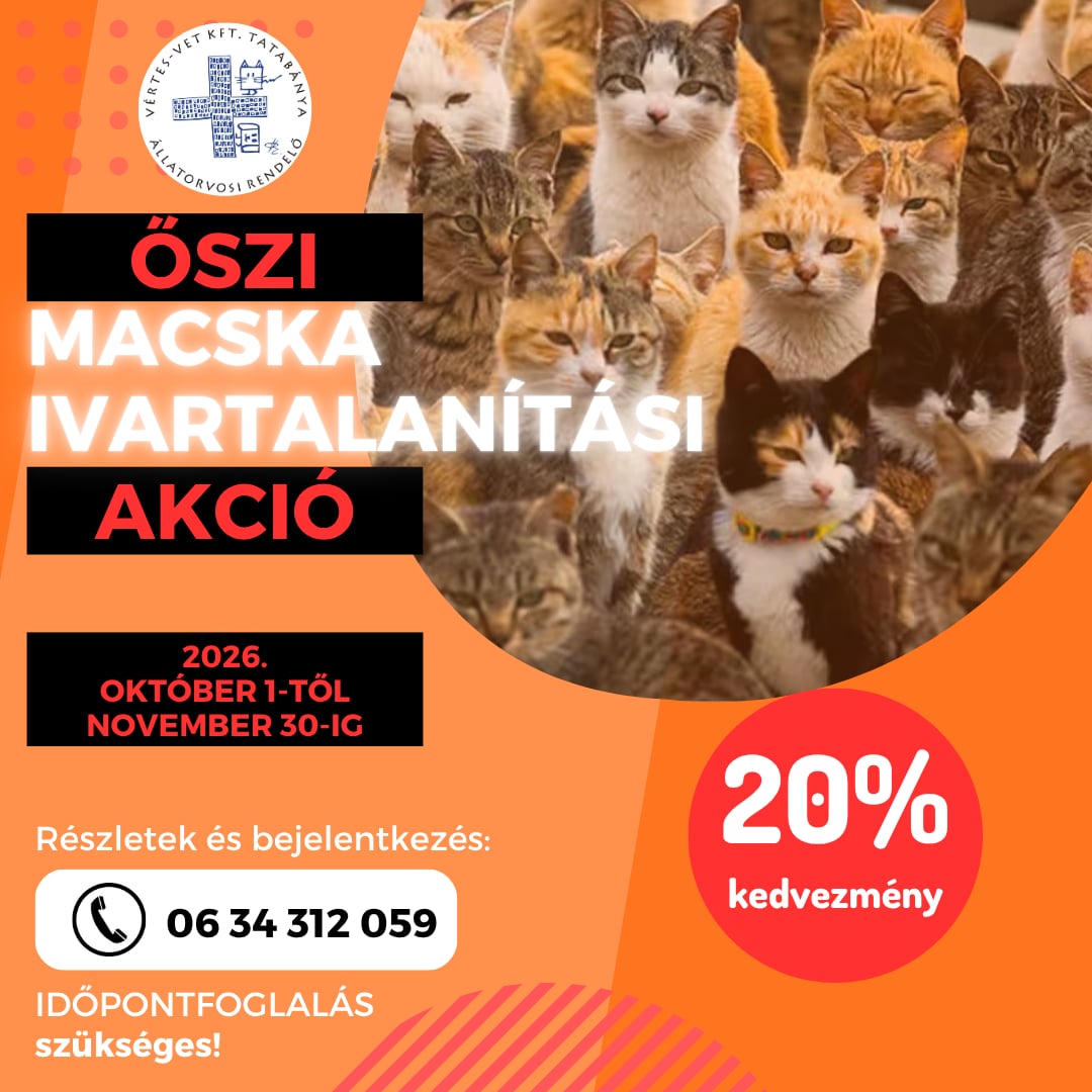 iviakcio